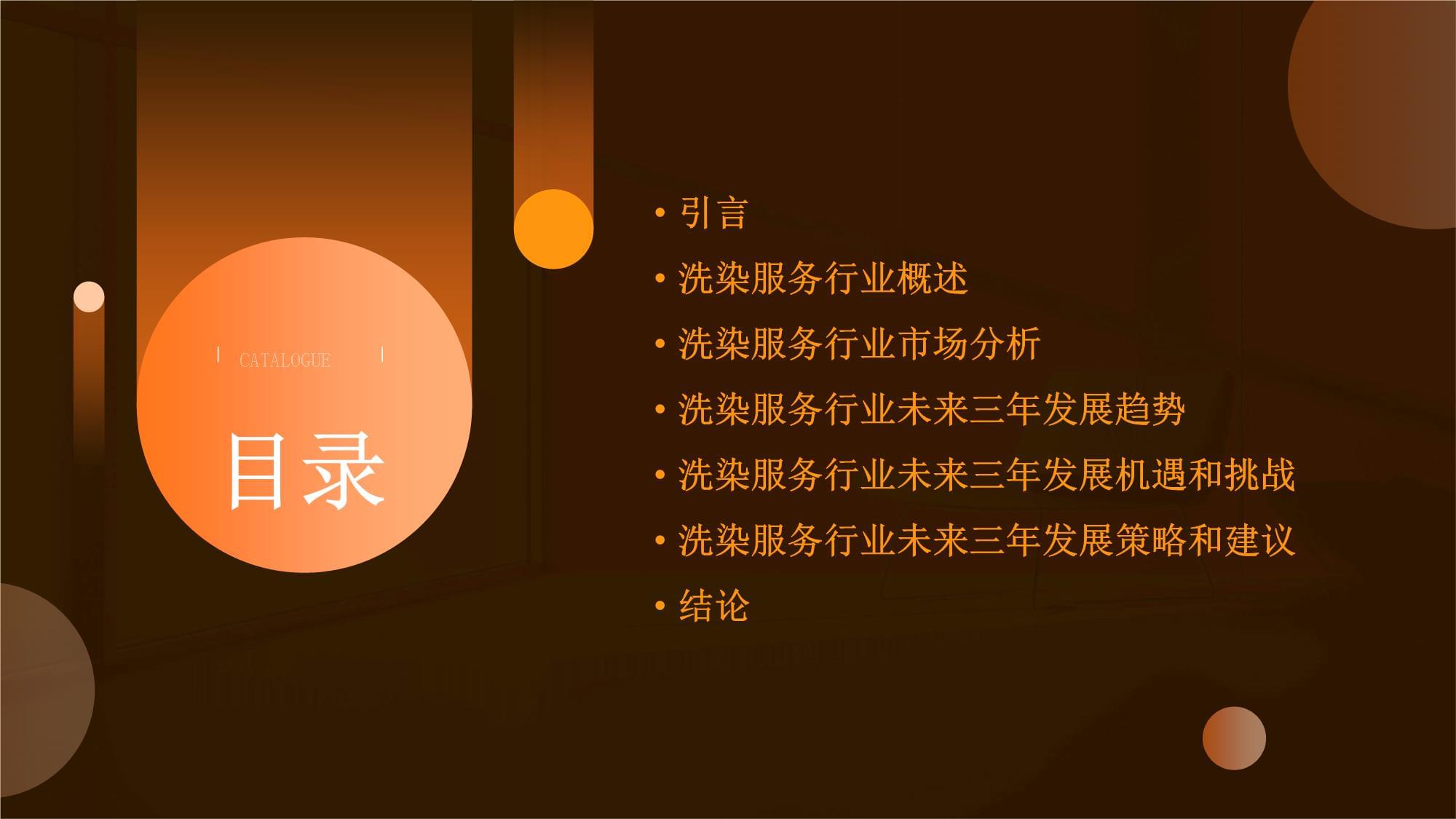 2024年洗染服务行业未来三年发展洞察报告